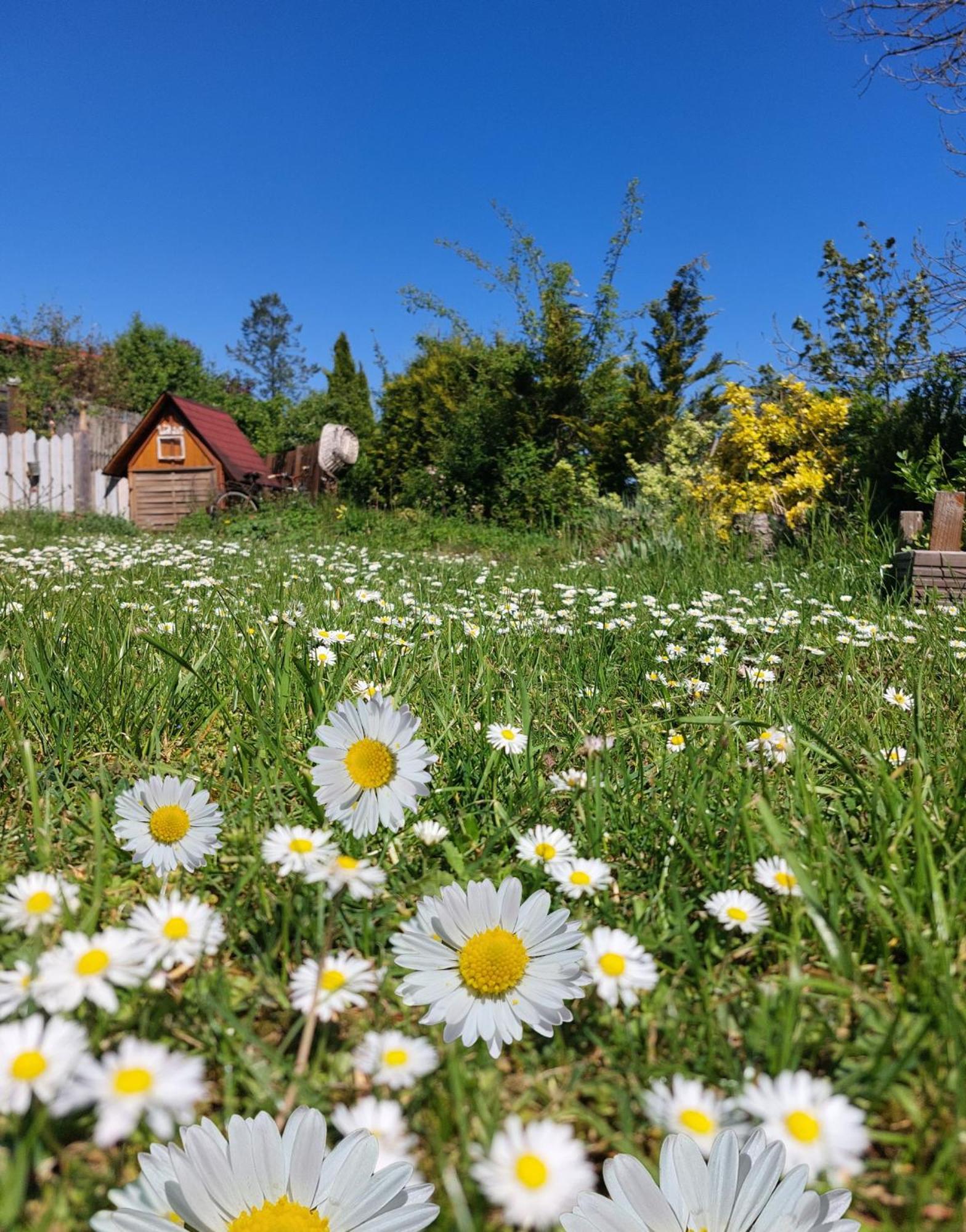 Ferienhaus Nr 2 - Das Kleine Haus Im Haus Heiligenstadt in Oberfranken Eksteriør bilde